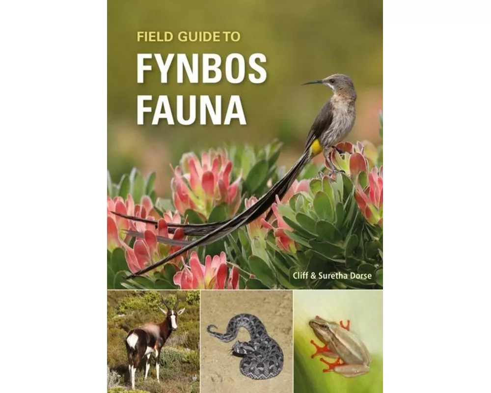 Field Guide to Fynbos Fauna