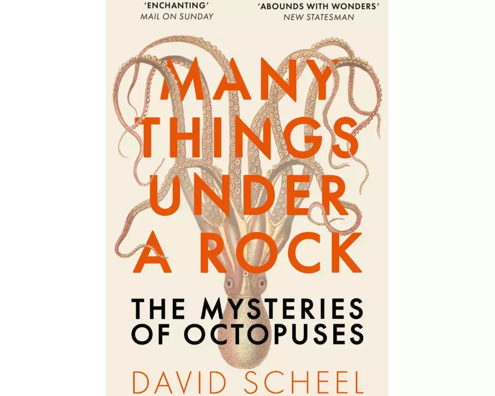 Many Things Under a Rock