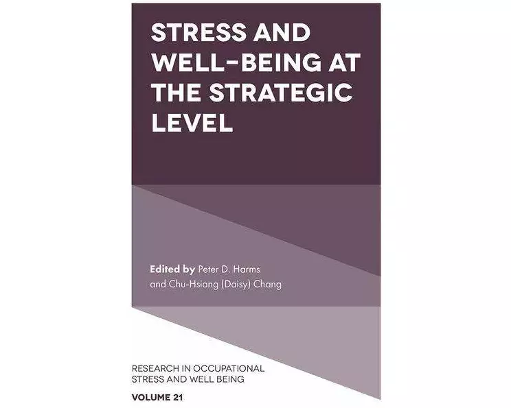 Stress and Well-Being at the Strategic Level