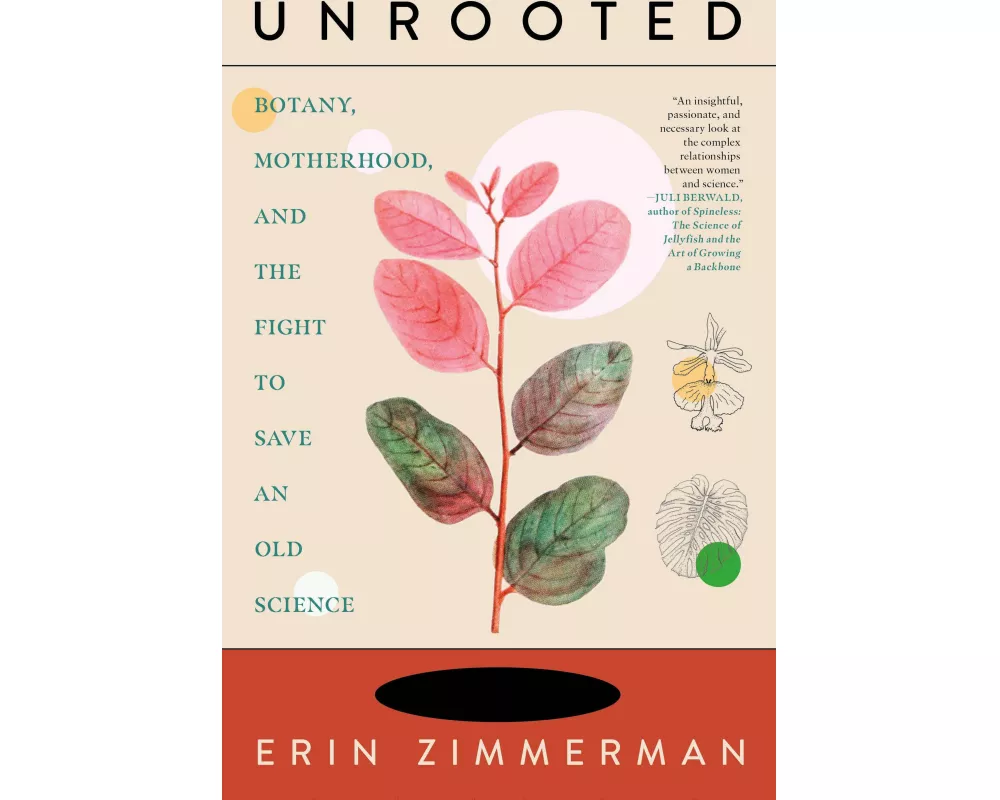 Unrooted