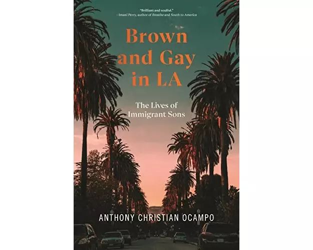 Brown and Gay in LA