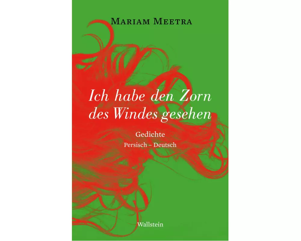 Ich habe den Zorn des Windes gesehen