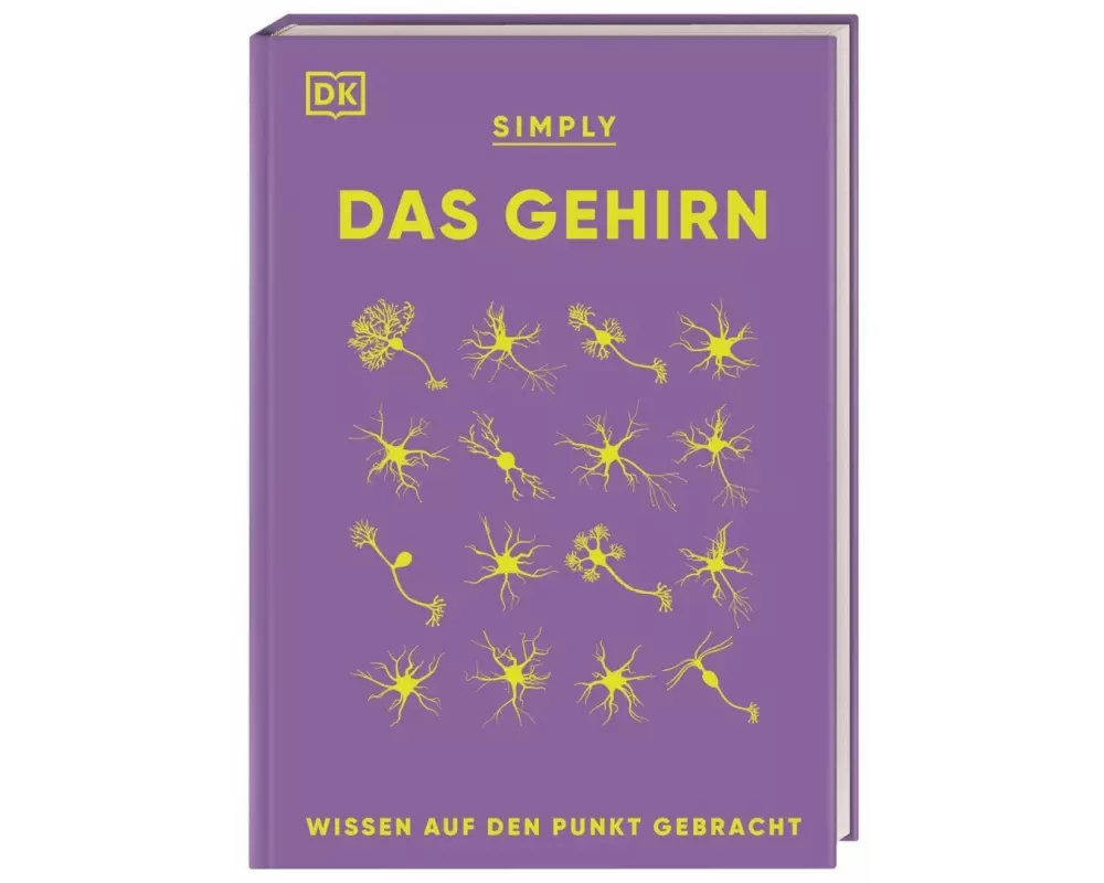 SIMPLY. Das Gehirn