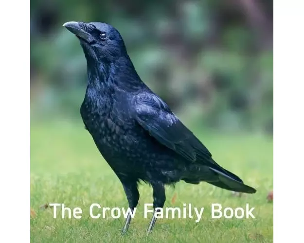 Nature Book Series: The Crow Family Book