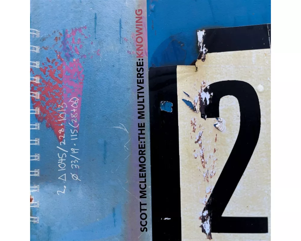 The Multiverse: Knowing