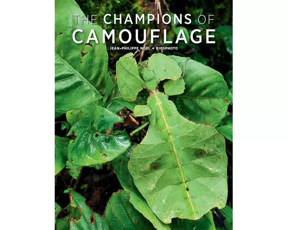 Champions of Camouflage
