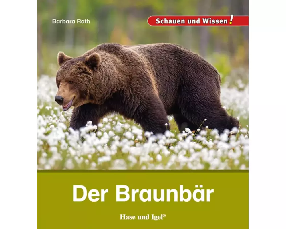 Der Braunbär