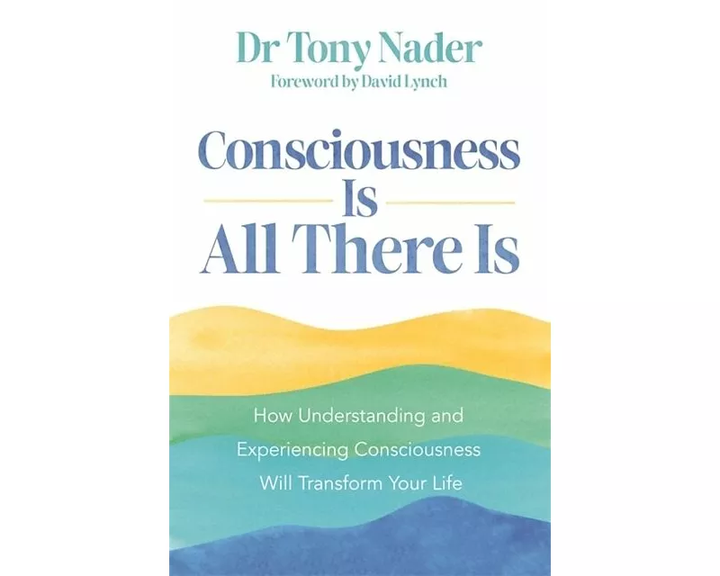 Consciousness Is All There Is