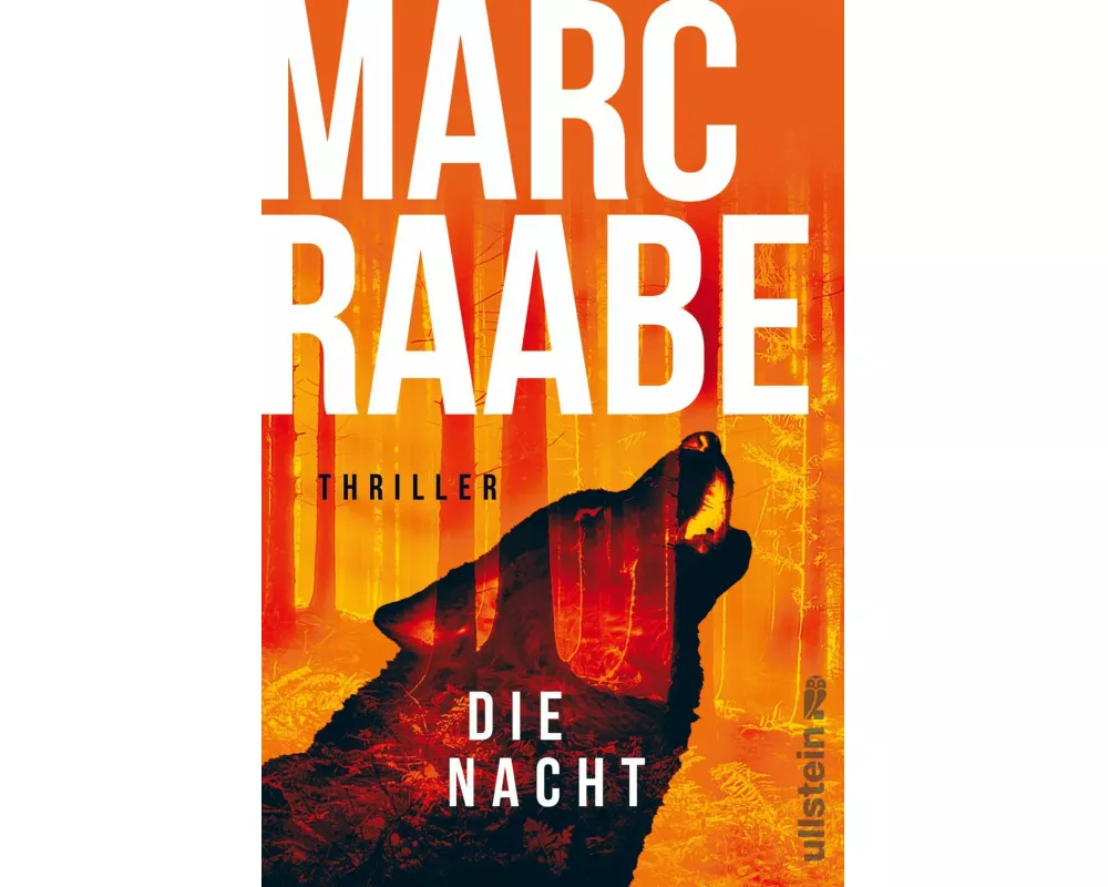 Die Nacht (Art Mayer-Serie 3)