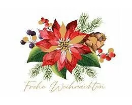 Doppelkarte. Green Karma X-MAS - Roter Weihnachtsstern