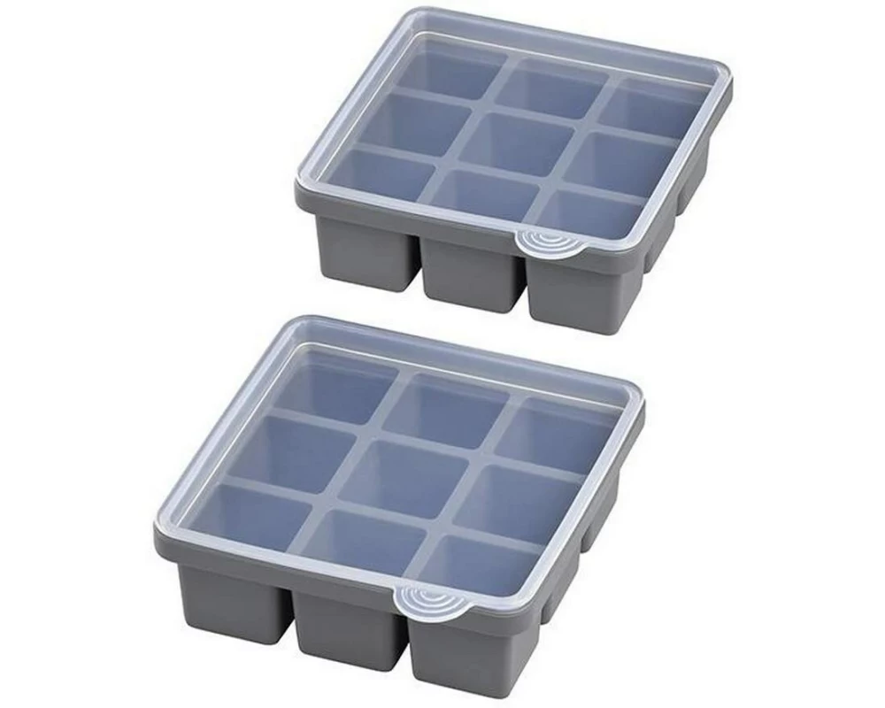 APS Eiswürfelform mit Deckel 2er Set