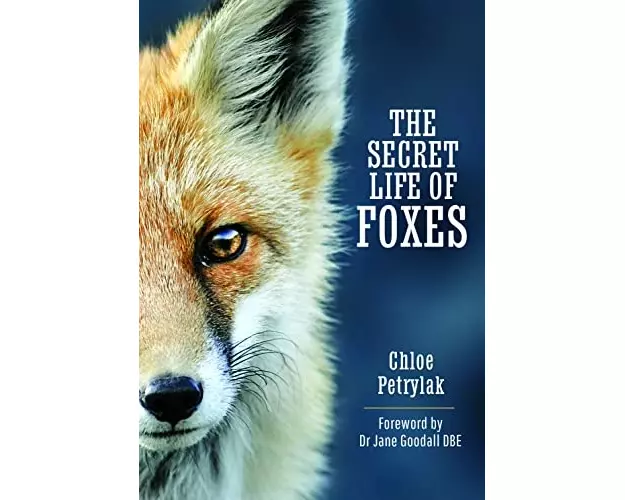 The Secret Life of Foxes