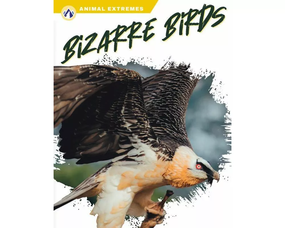 Bizarre Birds
