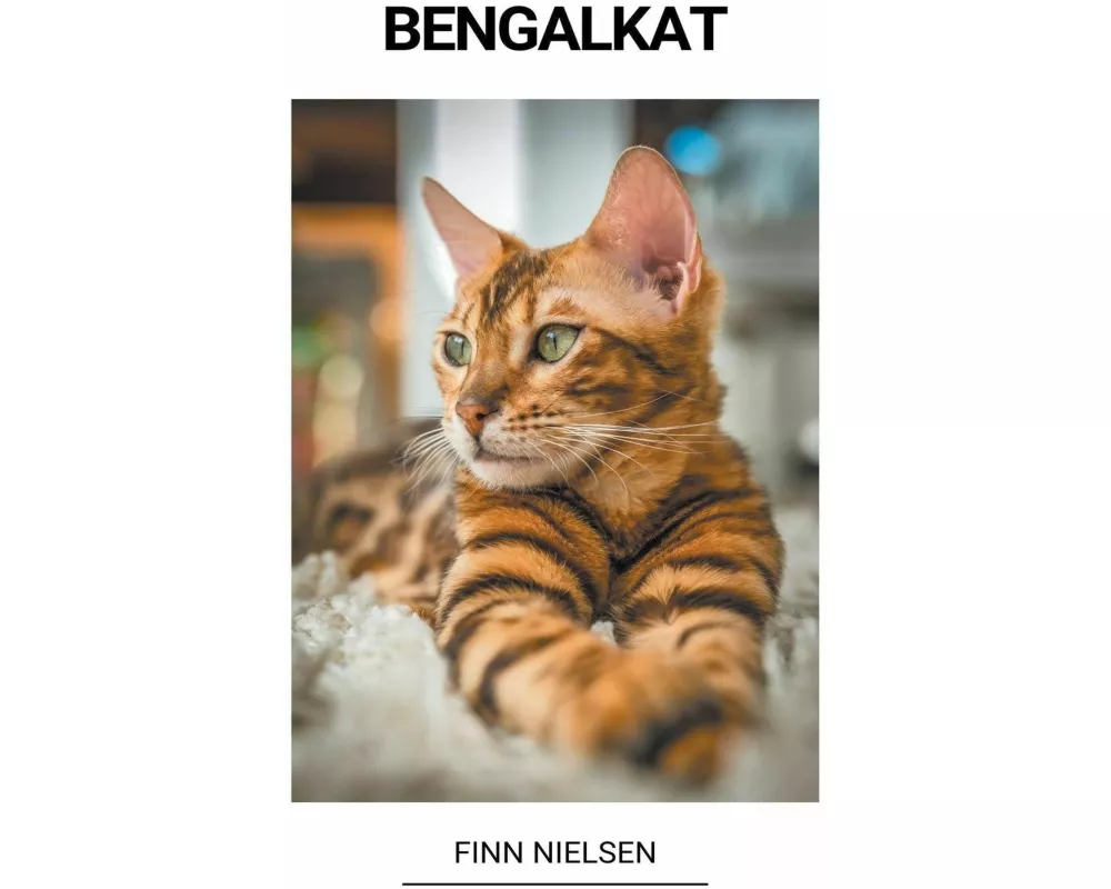 Bengalkat