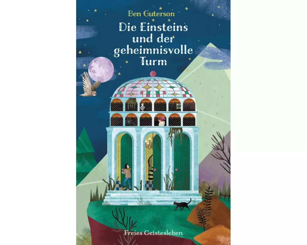 Die Einsteins und der geheimnisvolle Turm
