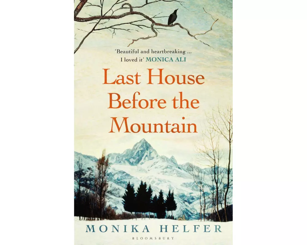 Last House Before the Mountain