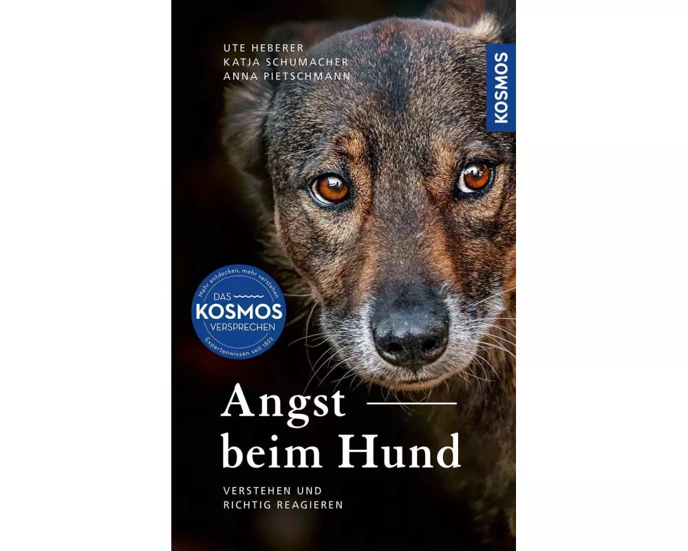 Angst beim Hund
