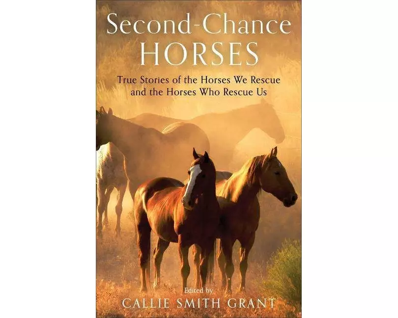Second–Chance Horses – True Stories of the Horses We Rescue and the Horses Who Rescue Us