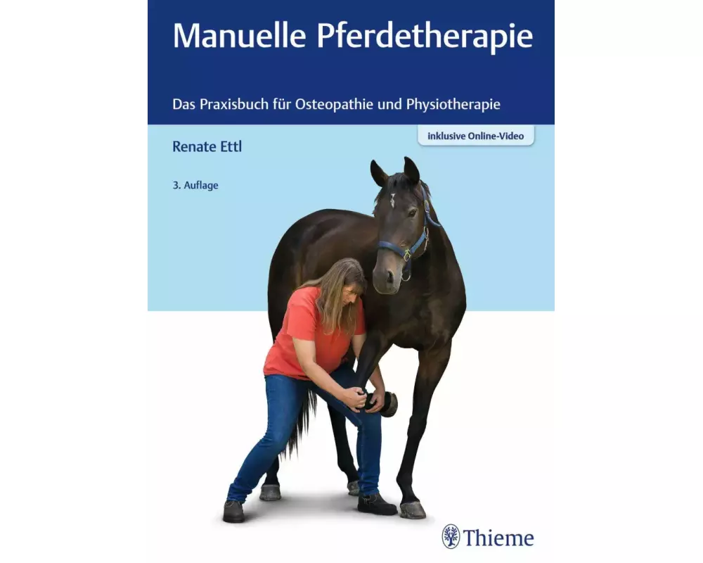 Manuelle Pferdetherapie
