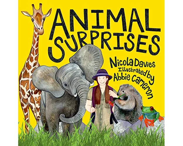 Animal Surprises