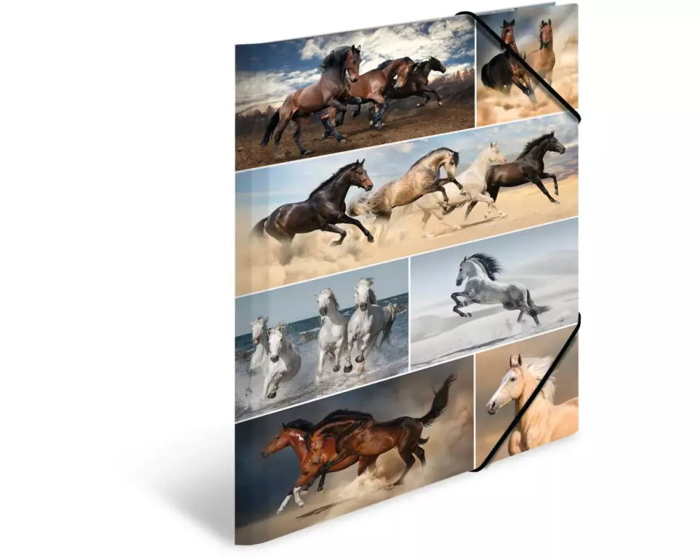 HERMA Gummibandmappe A3 Pferde, Karton, mit Innendruck