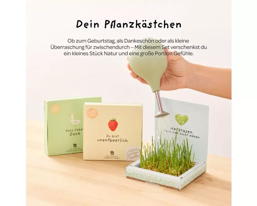 Die Stadtgärtner Pflanzenkästchen «Danke»
