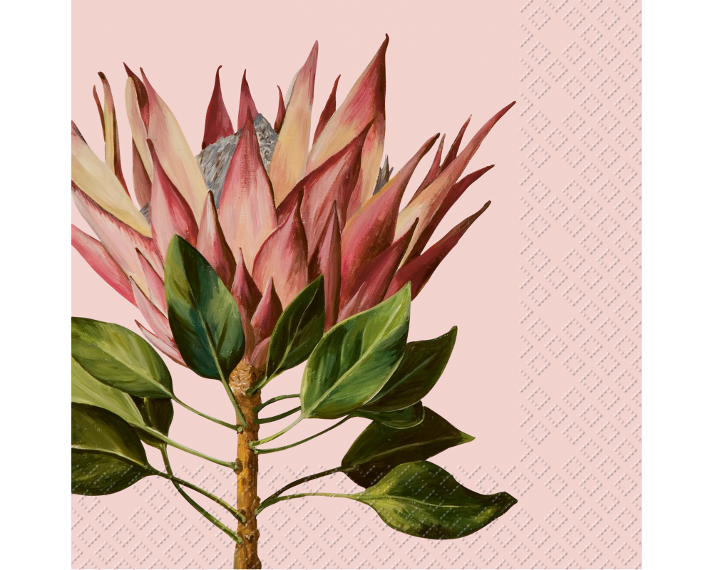 STEWO Serviette 2572536725 Karma 166 x 168 mm