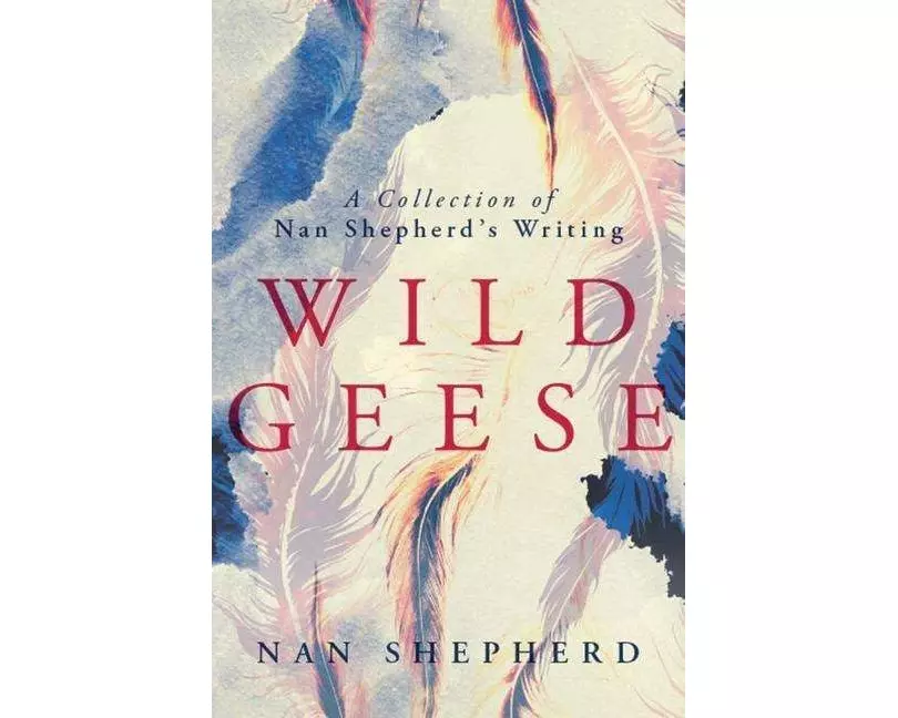 Wild Geese