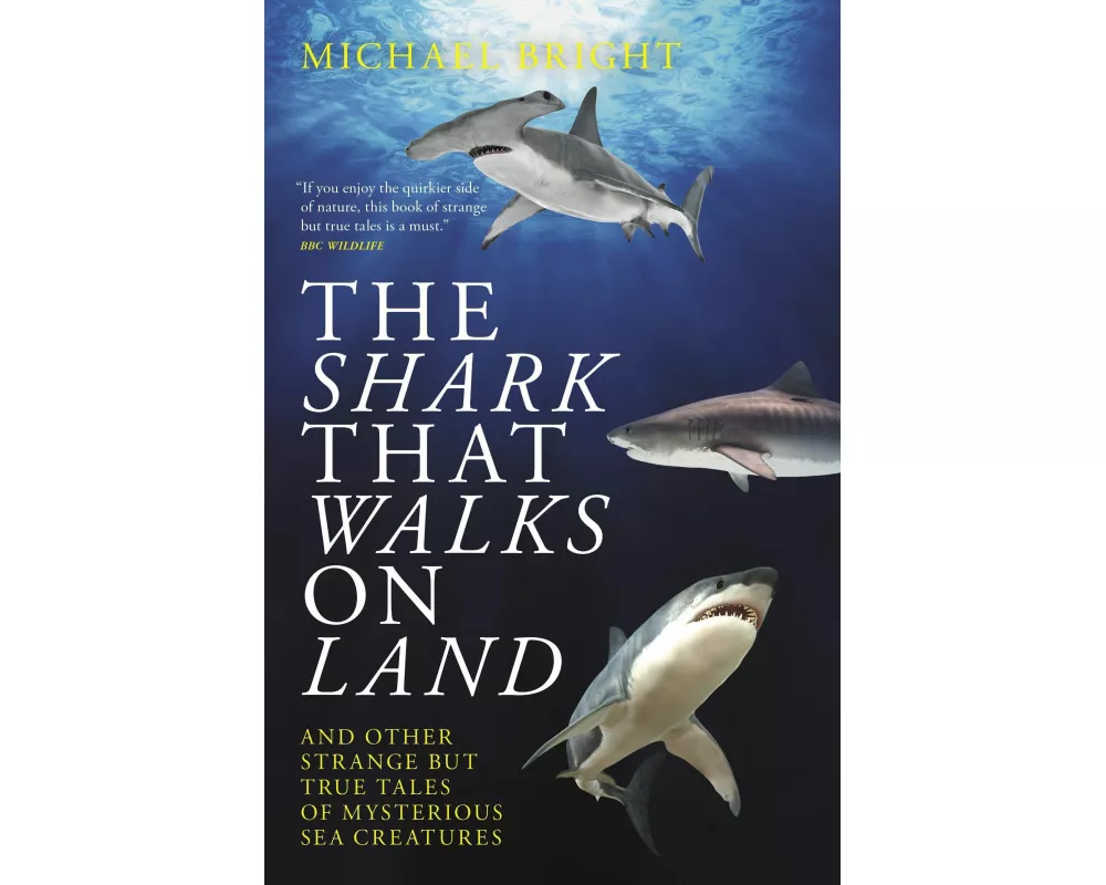 The Shark That Walks on Land