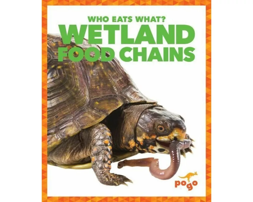 Wetland Food Chains