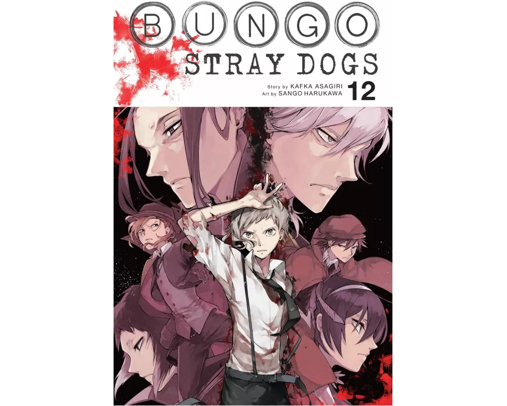 Bungo Stray Dogs, Vol. 12