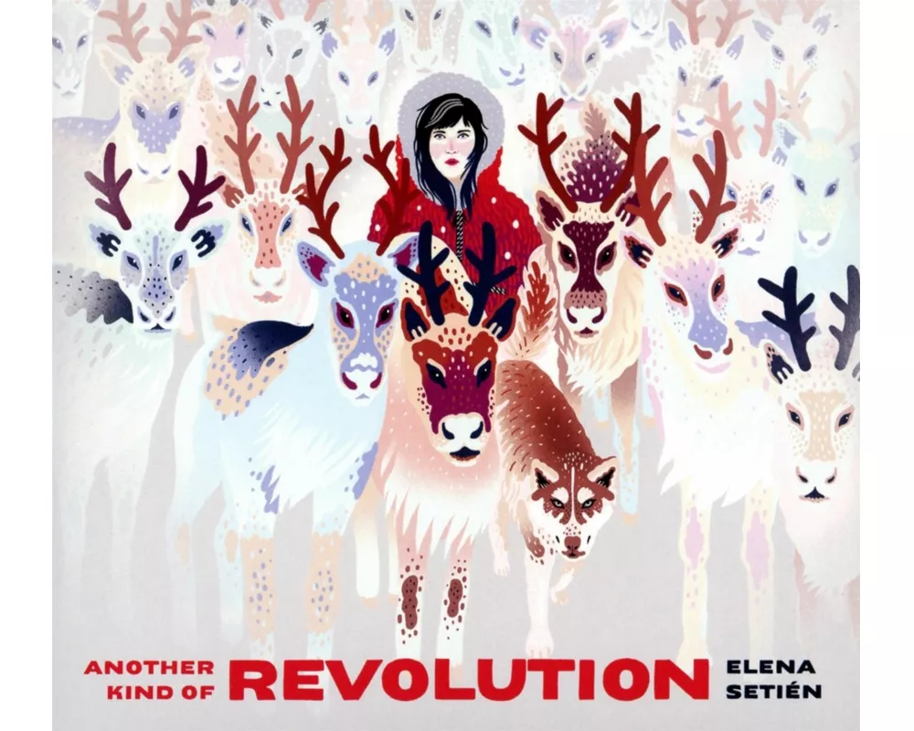 Another Kind Of Revolution
