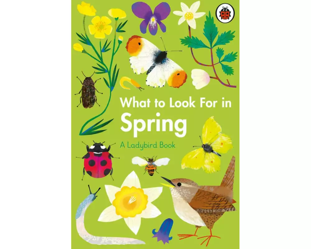 What To Look For In Spring
