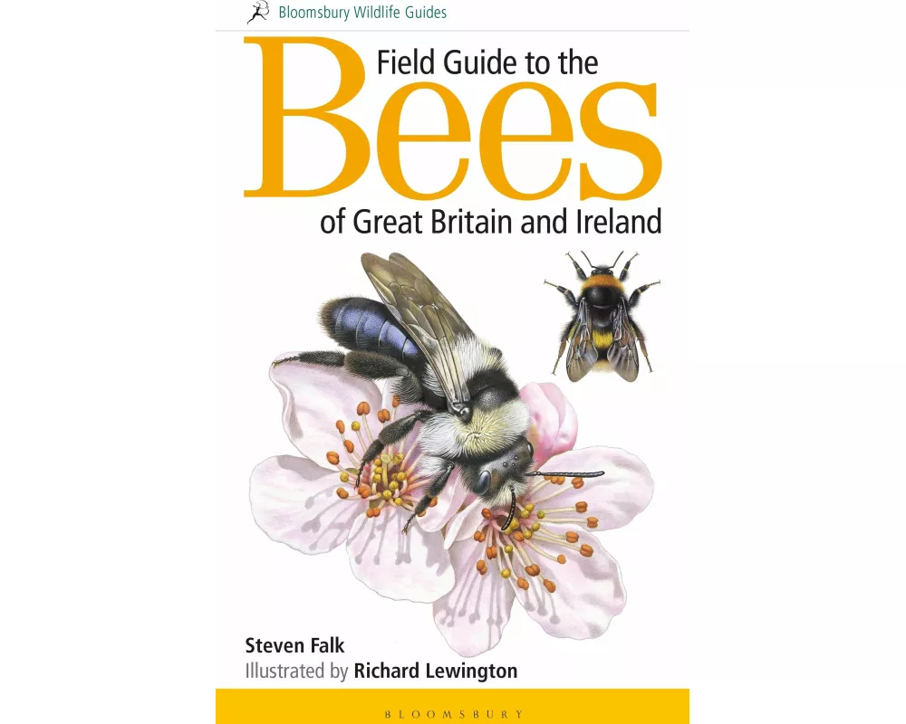 Field Guide to the Bees of Great Britain and Ireland
