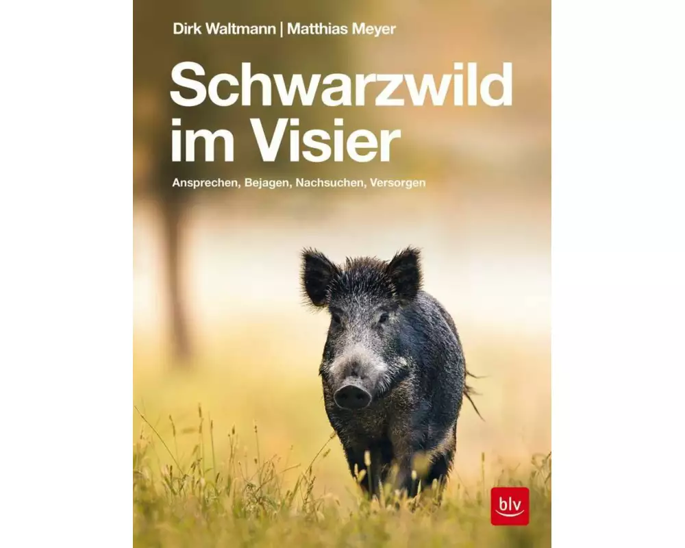 Schwarzwild im Visier