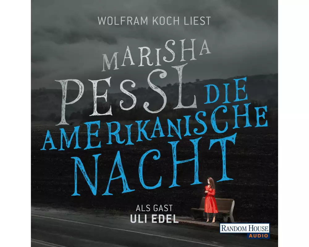 Die amerikanische Nacht