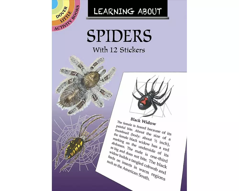 Learning About Spiders