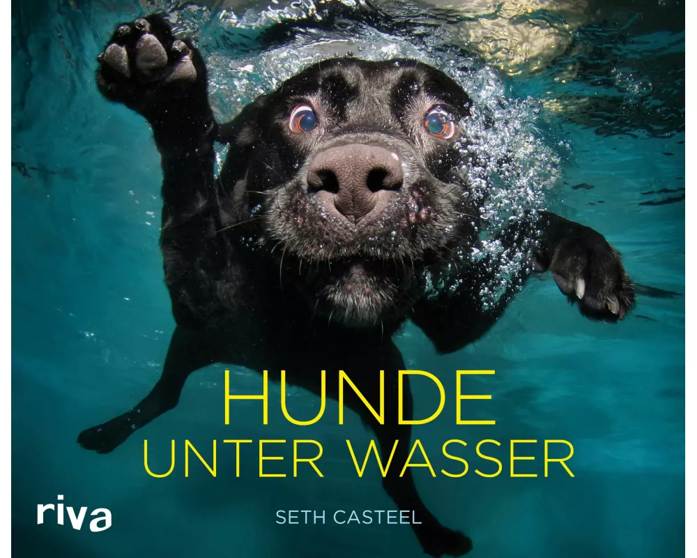 Hunde unter Wasser