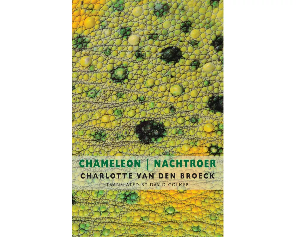 Chameleon | Nachtroer
