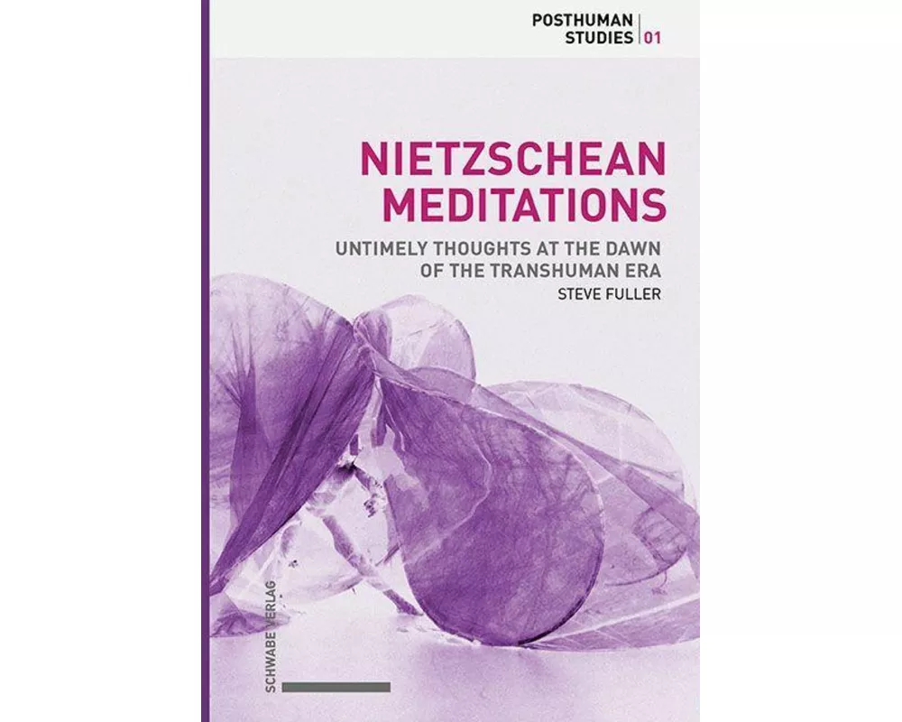 Nietzschean Meditations (softcover)
