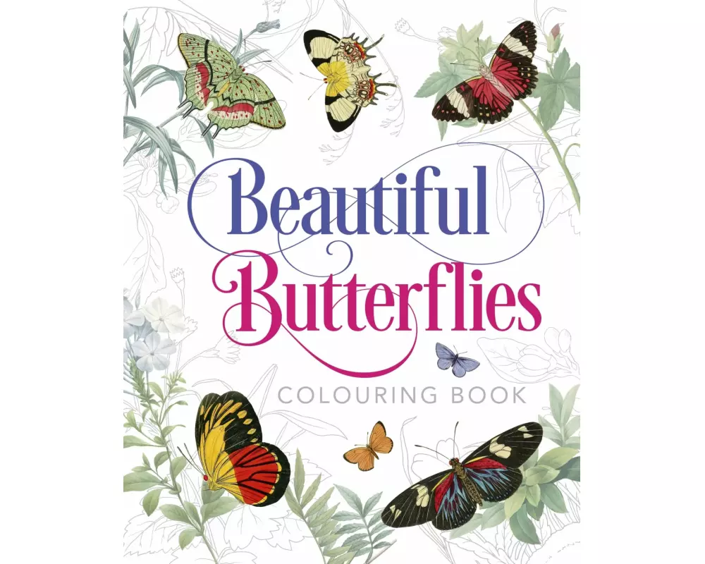 Beautiful Butterflies Colouring Book