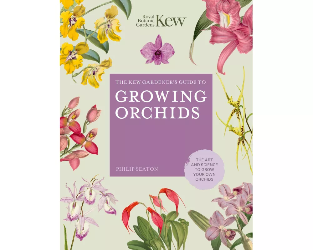 The Kew Gardener's Guide to Growing Orchids: Volume 6