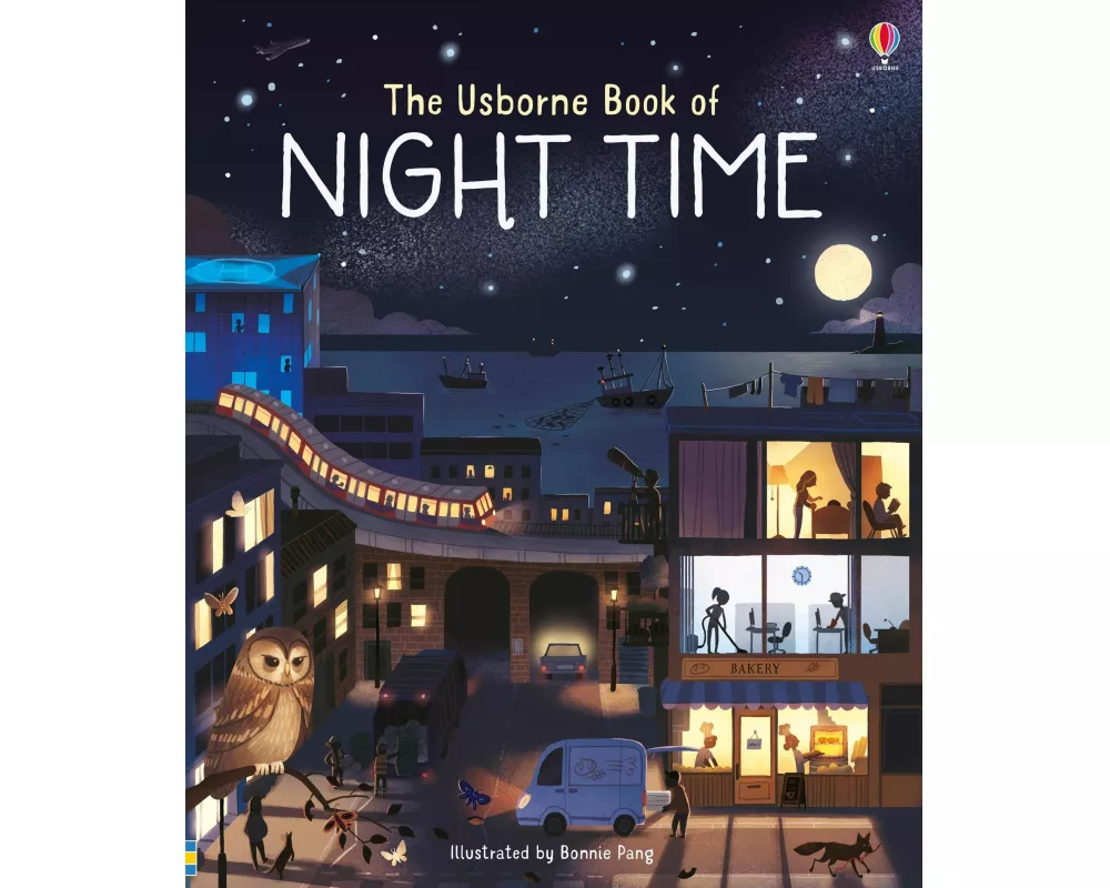 Usborne Book of Night Time