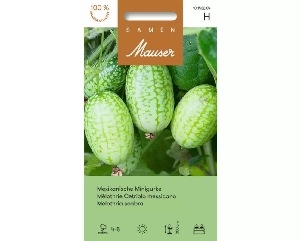 Samen Mauser Samen Mexikanische Minigurke Kletternde Pflanze