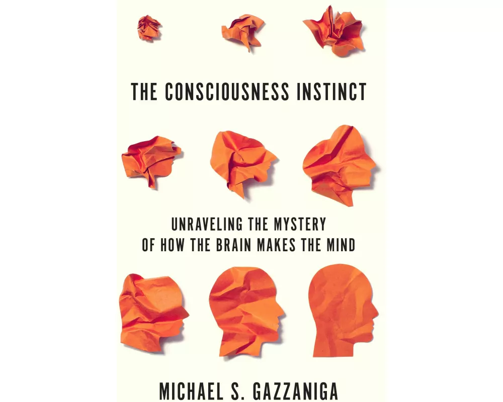 Consciousness Instinct