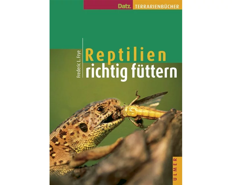 Reptilien richtig füttern