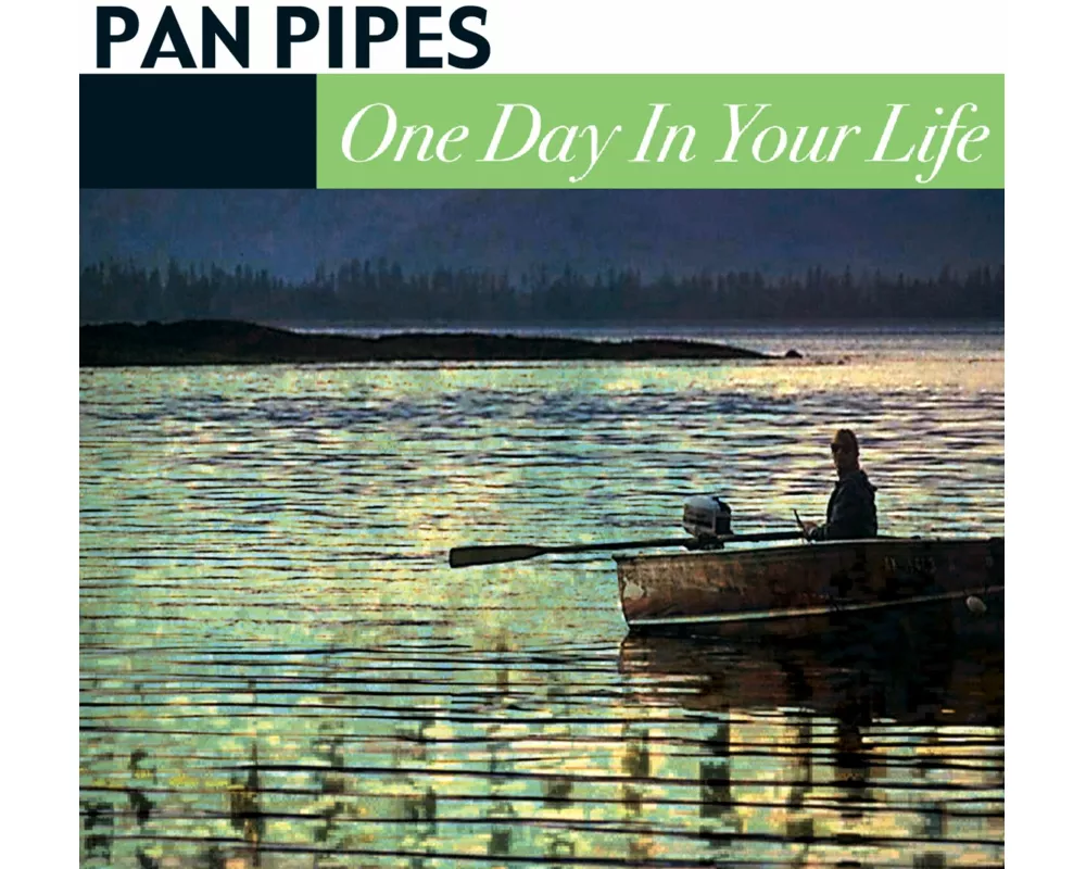 One Day In Your Life