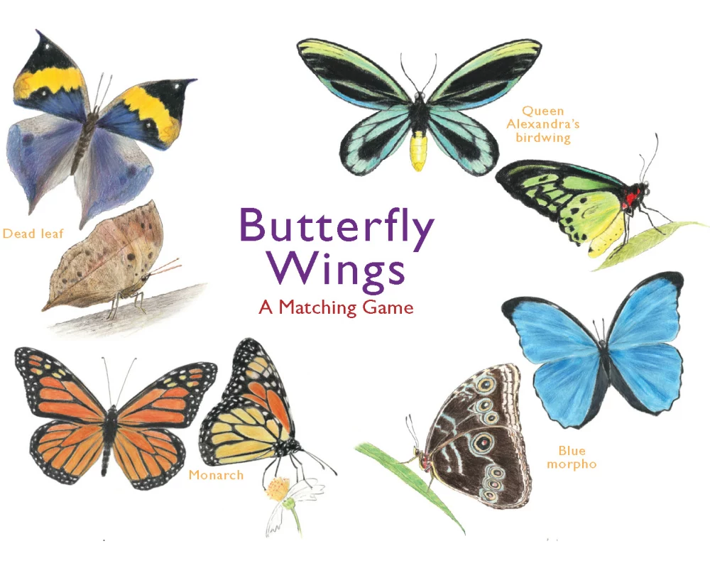 Butterfly Wings