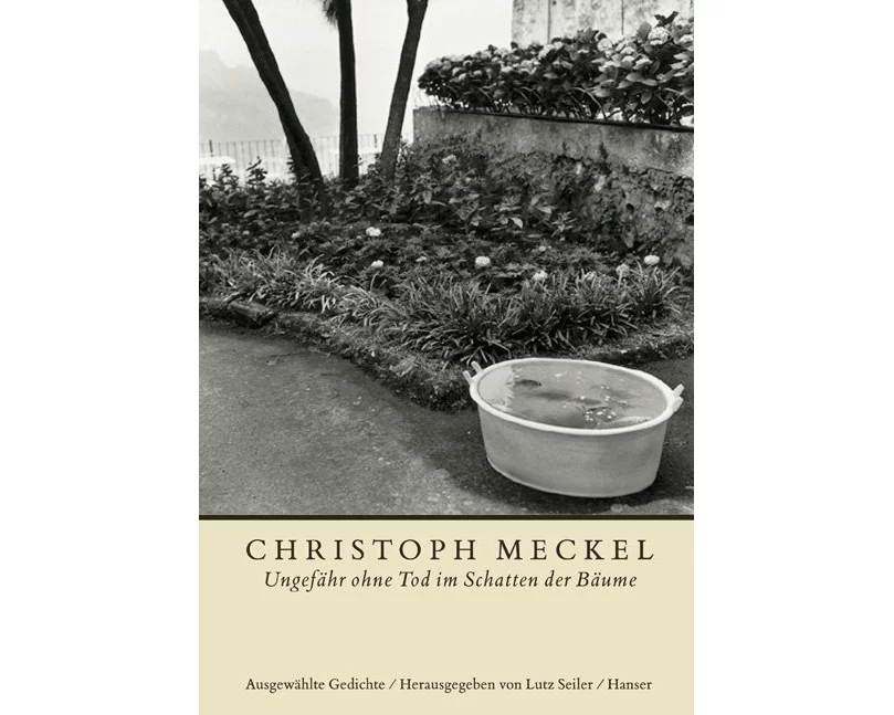 Ungefähr ohne Tod im Schatten der Bäume