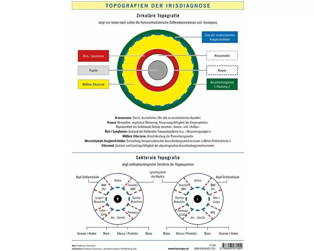 Topografien der Irisdiagnose